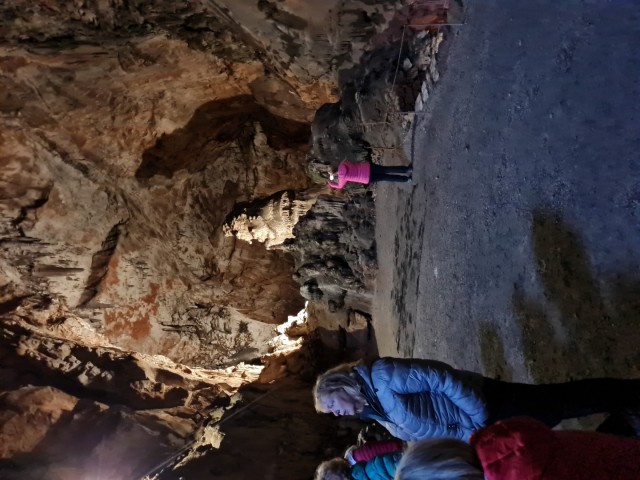 Risnik, Divaška jama 16.11.2024 - foto