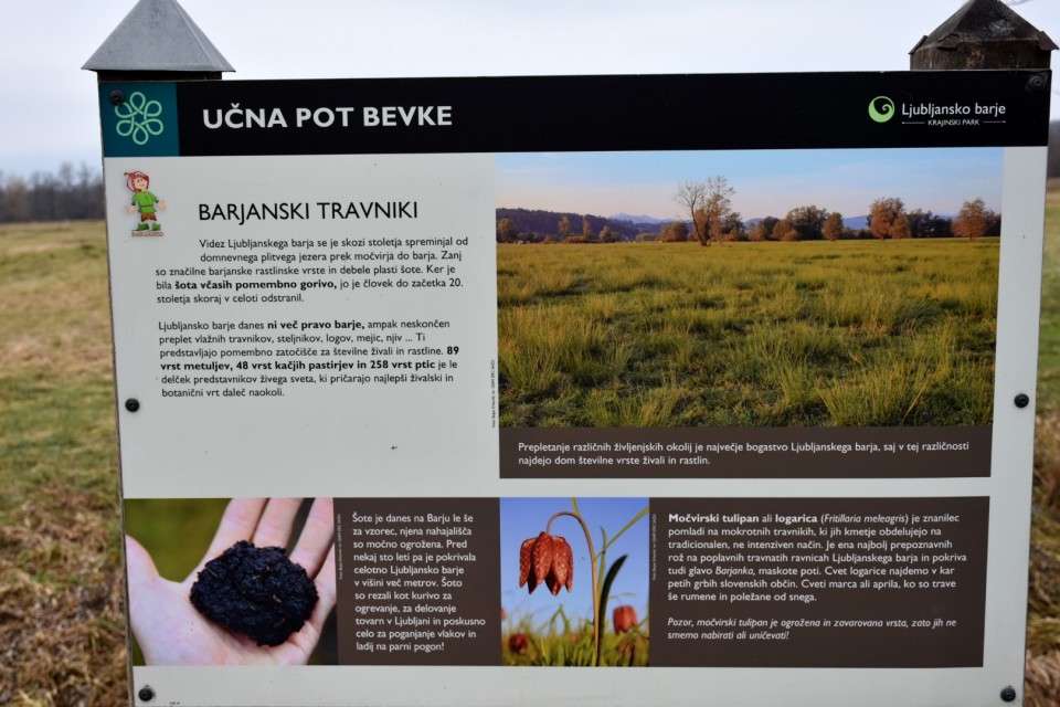 Bevški krog iz Notranjih Goric 18. 1. 2025 - foto povečava