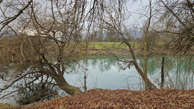 Bevški krog iz Notranjih Goric 18. 1. 2025 - foto