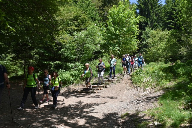 Ratitoves s Prtovča 14.6.2025 - foto