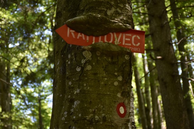 Ratitoves s Prtovča 14.6.2025 - foto