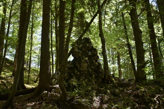 Ratitoves s Prtovča 14.6.2025 - foto