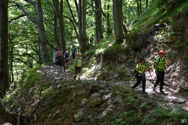 Ratitoves s Prtovča 14.6.2025 - foto