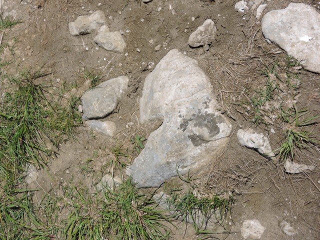 Ratitoves s Prtovča 14.6.2025 - foto