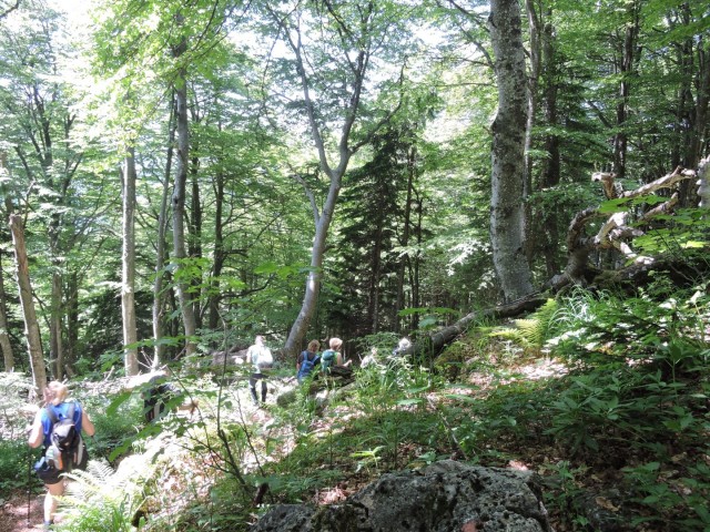 Ratitoves s Prtovča 14.6.2025 - foto