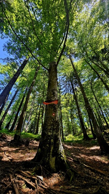 Ratitoves s Prtovča 14.6.2025 - foto