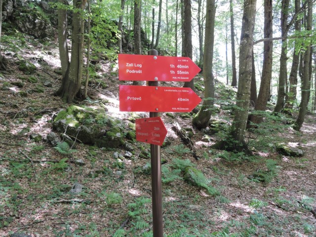 Ratitoves s Prtovča 14.6.2025 - foto