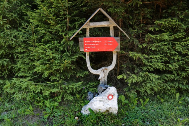 Tolsta Košuta 19.7.2025 - foto