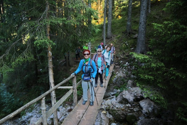 Tolsta Košuta 19.7.2025 - foto