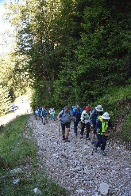 Tolsta Košuta 19.7.2025 - foto