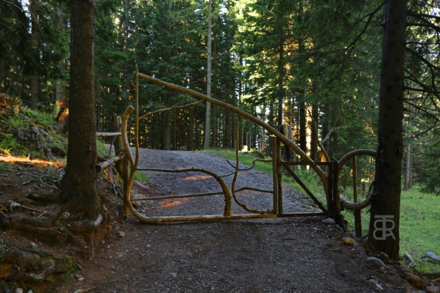 Tolsta Košuta 19.7.2025 - foto