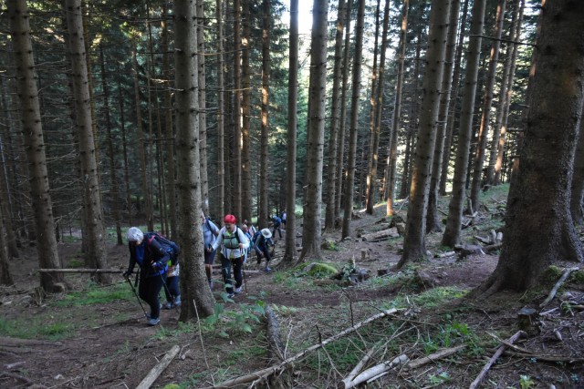 Tolsta Košuta 19.7.2025 - foto