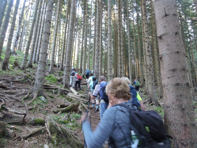 Tolsta Košuta 19.7.2025 - foto