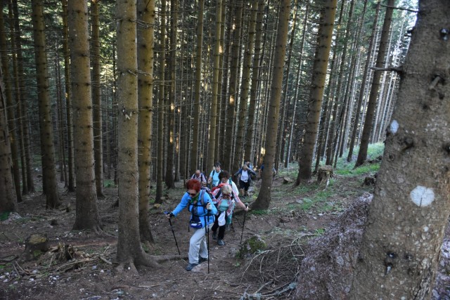 Tolsta Košuta 19.7.2025 - foto