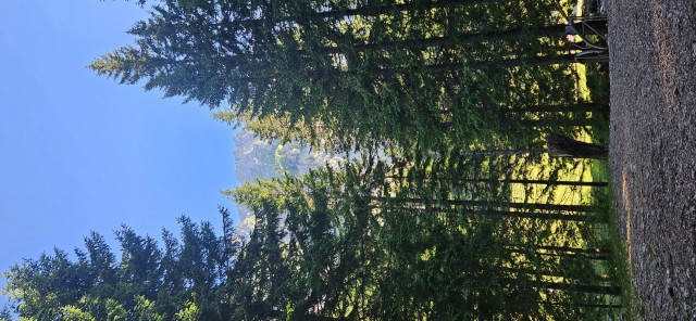 Tolsta Košuta 19.7.2025 - foto