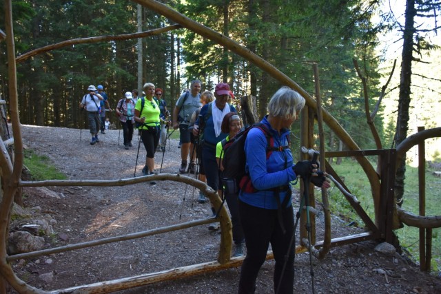 Tolsta Košuta 19.7.2025 - foto