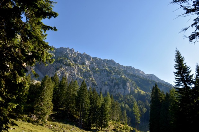 Tolsta Košuta 19.7.2025 - foto