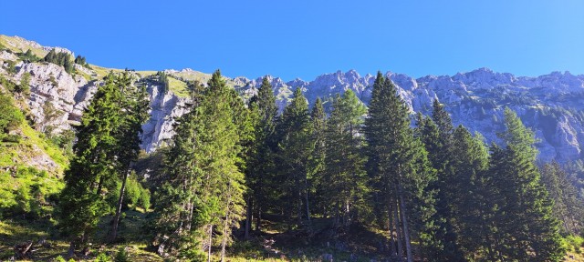 Tolsta Košuta 19.7.2025 - foto