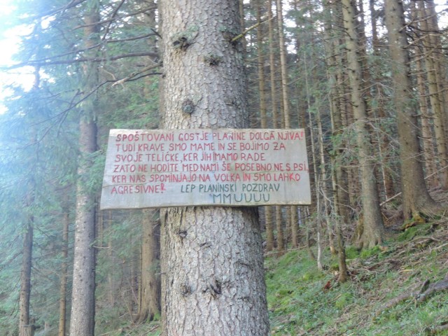 Tolsta Košuta 19.7.2025 - foto