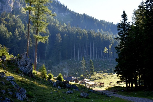 Tolsta Košuta 19.7.2025 - foto