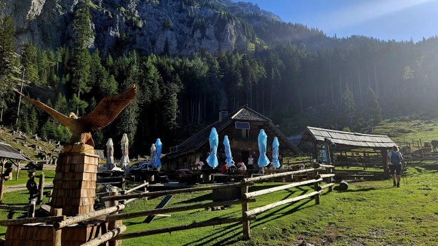 Tolsta Košuta 19.7.2025 - foto