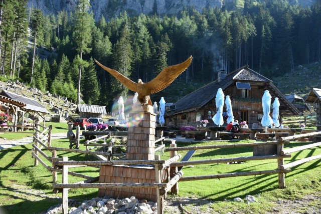 Tolsta Košuta 19.7.2025 - foto