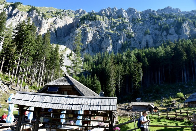 Tolsta Košuta 19.7.2025 - foto