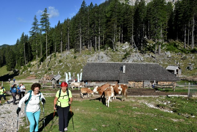 Tolsta Košuta 19.7.2025 - foto
