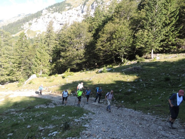 Tolsta Košuta 19.7.2025 - foto