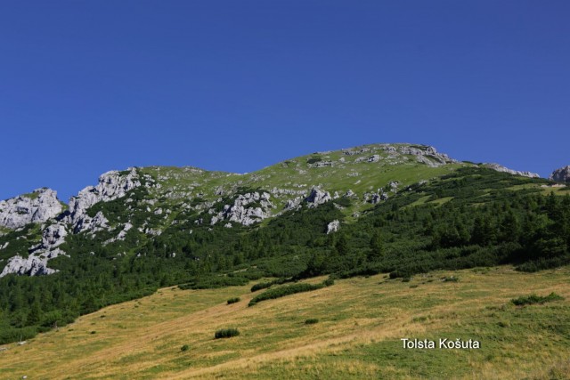 Tolsta Košuta 19.7.2025 - foto