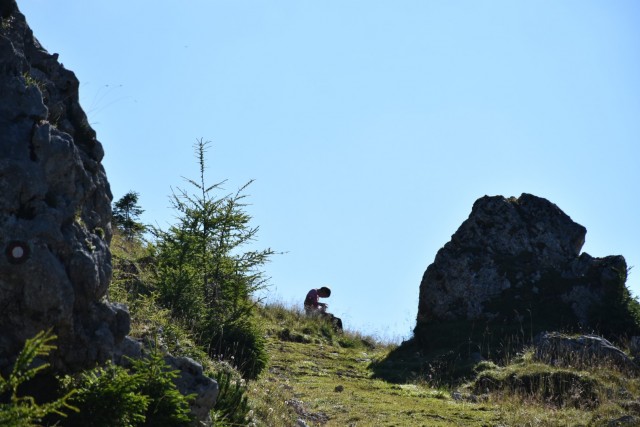 Tolsta Košuta 19.7.2025 - foto