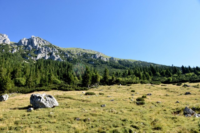 Tolsta Košuta 19.7.2025 - foto