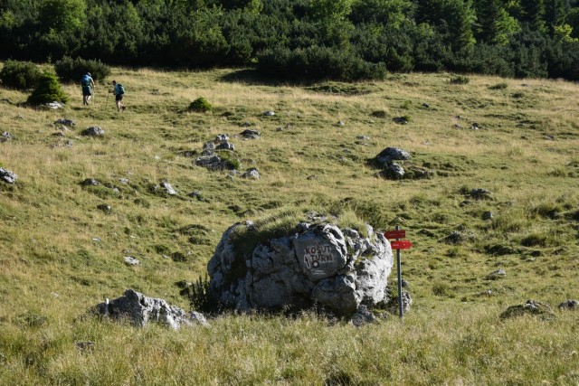 Tolsta Košuta 19.7.2025 - foto