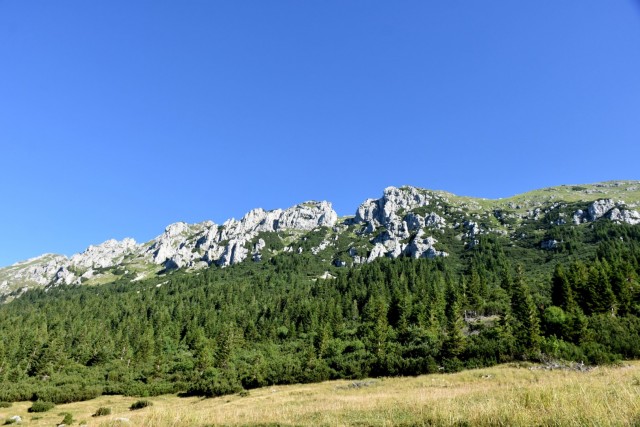 Tolsta Košuta 19.7.2025 - foto