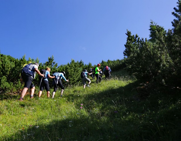 Tolsta Košuta 19.7.2025 - foto
