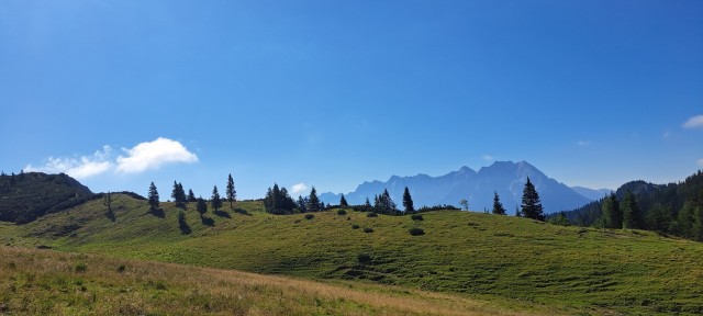 Tolsta Košuta 19.7.2025 - foto
