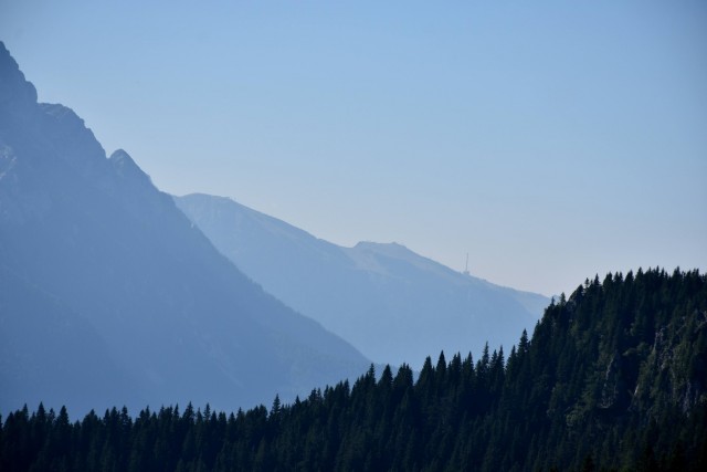 Tolsta Košuta 19.7.2025 - foto