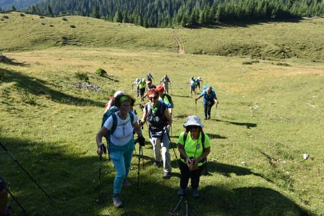 Tolsta Košuta 19.7.2025 - foto