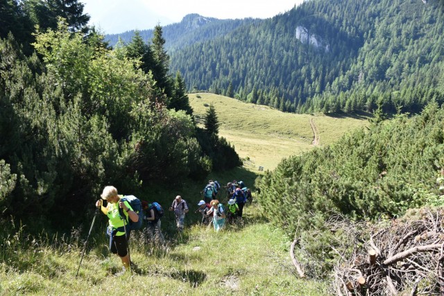 Tolsta Košuta 19.7.2025 - foto
