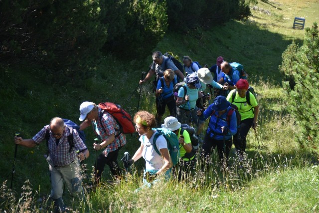 Tolsta Košuta 19.7.2025 - foto