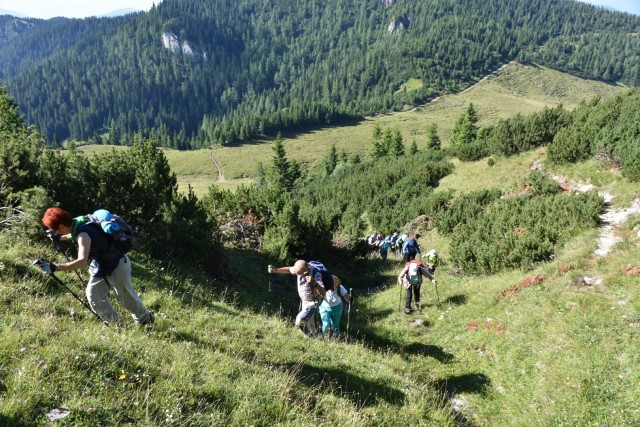 Tolsta Košuta 19.7.2025 - foto