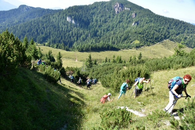 Tolsta Košuta 19.7.2025 - foto