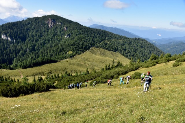 Tolsta Košuta 19.7.2025 - foto