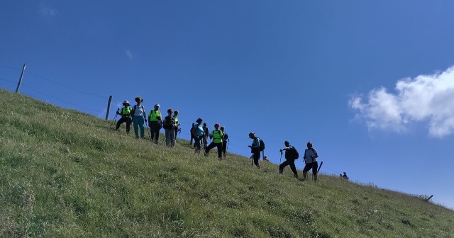 Tolsta Košuta 19.7.2025 - foto