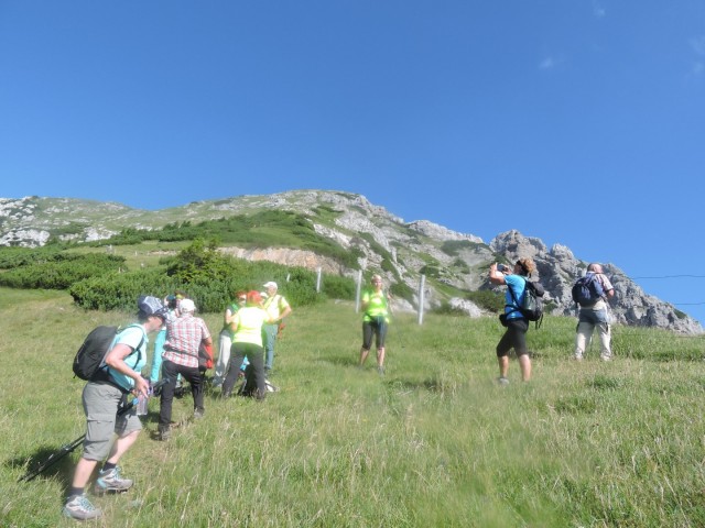Tolsta Košuta 19.7.2025 - foto