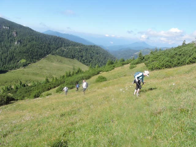 Tolsta Košuta 19.7.2025 - foto