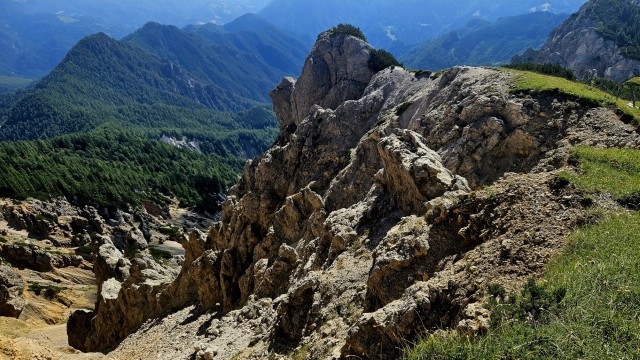Tolsta Košuta 19.7.2025 - foto