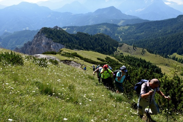 Tolsta Košuta 19.7.2025 - foto