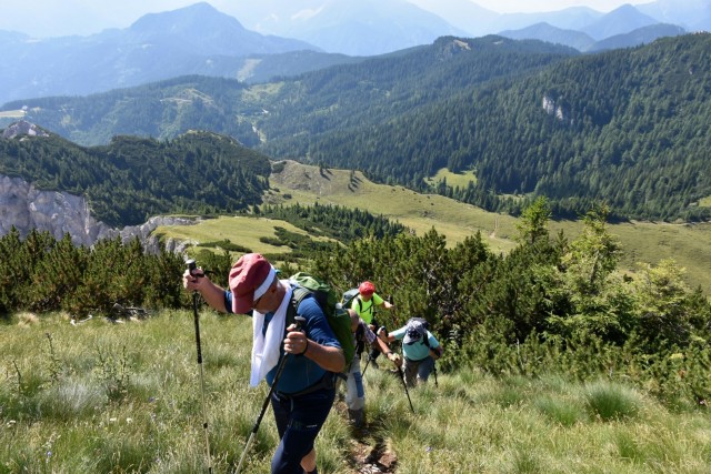Tolsta Košuta 19.7.2025 - foto