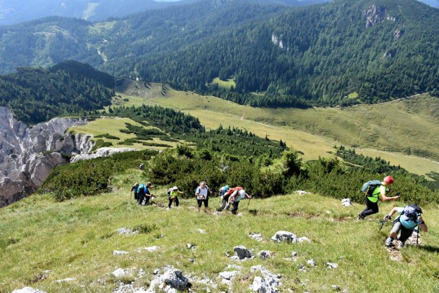 Tolsta Košuta 19.7.2025 - foto